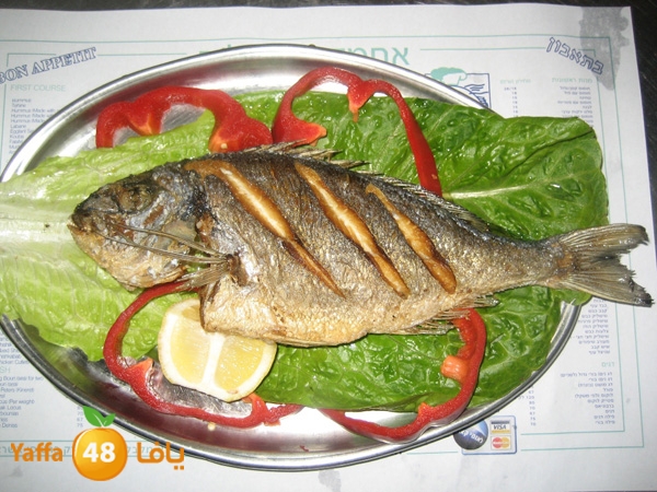 ahmadw saleem herts (1).JPG